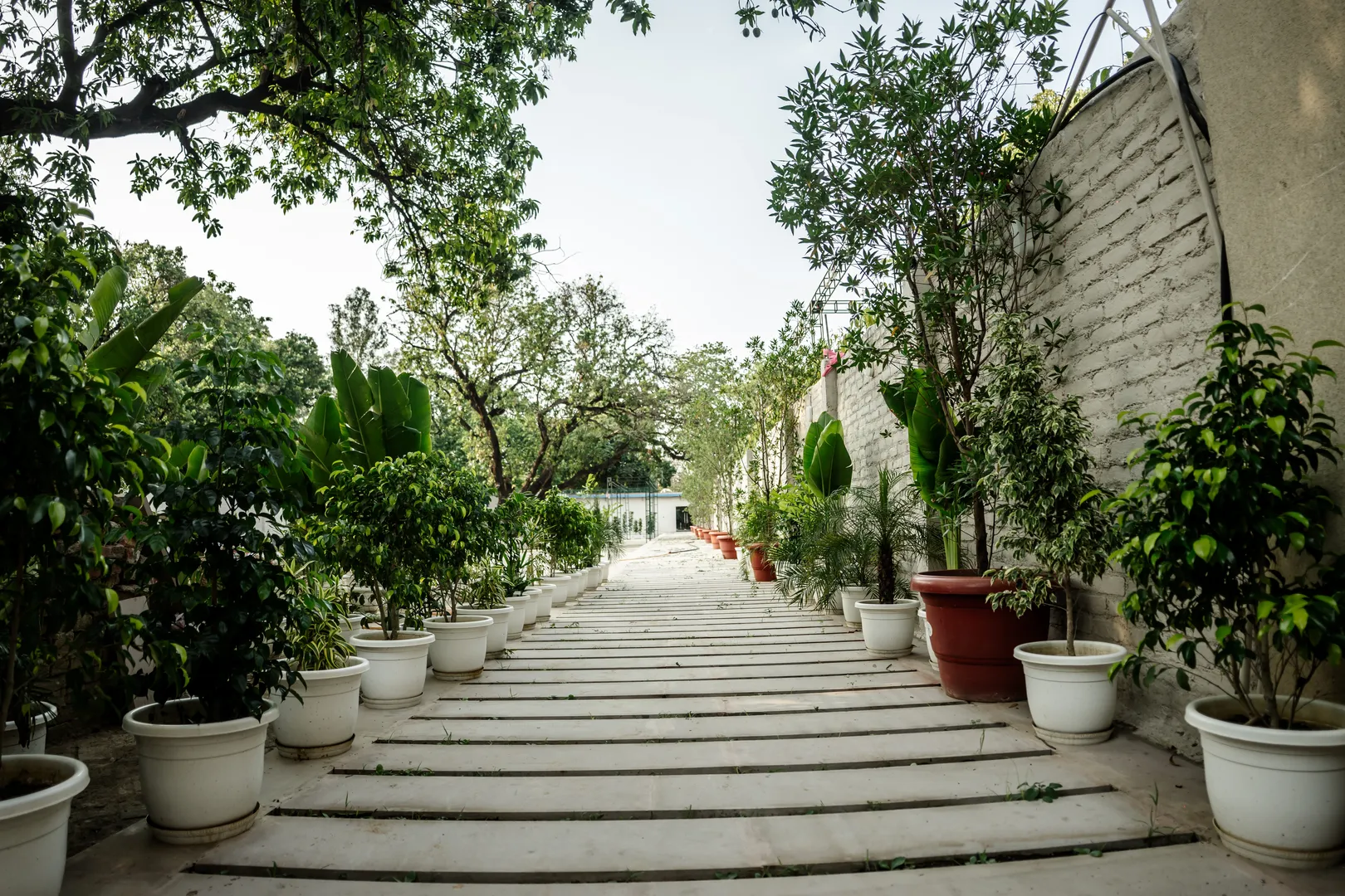 Aam Bagh Sanctuary Grounds