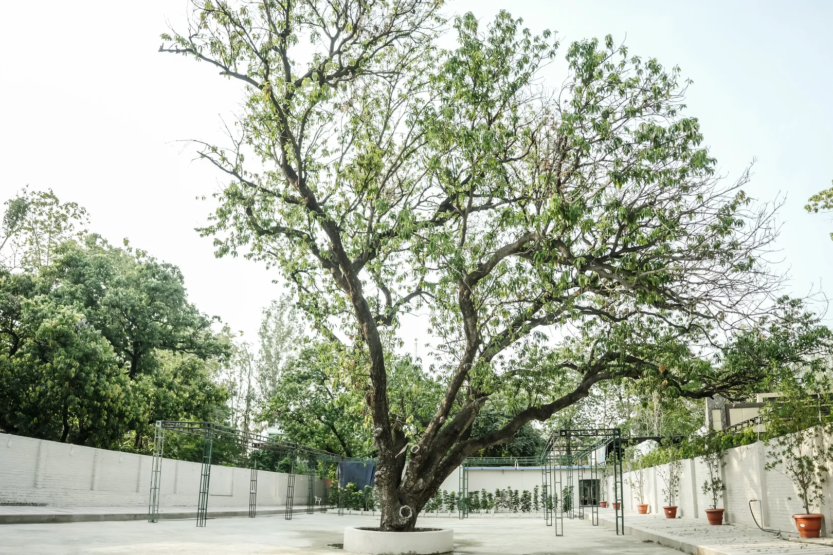Aam Bagh Verandah & Orchard